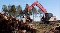 New Link-Belt Excavator working by forest